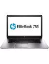 Ноутбук HP EliteBook 755 G2 (F1Q26EA) icon