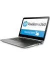 Ноутбук-трансформер HP Pavilion x360 13-s000ur (M2Y46EA) icon 2