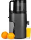 Соковыжималка Hurom H320N (титан) icon