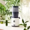 Соковыжималка Hurom H330P (слоновая кость) icon 4