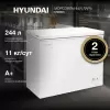 Морозильник Hyundai CH25031 фото 2