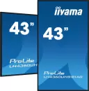 Информационная панель iiyama ProLite LH4360UHS-B1AG фото 6