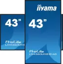 Информационная панель iiyama ProLite LH4360UHS-B1AG фото 7