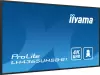 Информационная панель iiyama ProLite LH4365UHSB-B1 фото 7