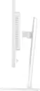 Монитор Iiyama ProLite XB2497HSU-W1 фото 10