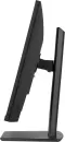 Монитор iiyama ProLite XB3294UHSCP-B1 фото 11