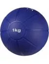 Медицинбол Indigo 9056 HKTB 1 кг (синий) фото 2