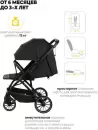 Детская прогулочная коляска INDIGO Delta+ (черный) icon 2