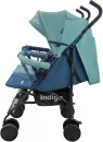 Прогулочная коляска INDIGO Duet (синий/зеленый) фото 2