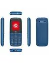 Мобильный телефон Itel IT2320 (синий) фото 2