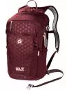 Рюкзак Jack Wolfskin Alleycat 18 Pack port wine grid icon