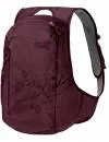 Рюкзак Jack Wolfskin Ancona burgundy icon