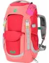 Рюкзак Jack Wolfskin Kids Explorer 20 tulip red icon