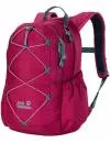 Рюкзак Jack Wolfskin Kids Grivla Pack Dark Ruby icon