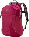 Рюкзак Jack Wolfskin Kids Moab Jam dark ruby icon