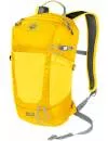 Рюкзак Jack Wolfskin Kingston 16 Pack dark sulphur icon