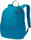 Рюкзак Jack Wolfskin Perfect Day 22L blue-reef icon