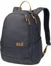 Рюкзак Jack Wolfskin Perfect Day 22L ebony icon