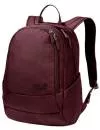 Рюкзак Jack Wolfskin Perfect Day 22L port wine icon