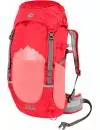 Рюкзак Jack Wolfskin Pioneer 22 Pack tulip red icon