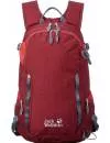 Рюкзак Jack Wolfskin Rockson 24L 2004331 icon 7