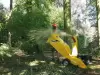 Садовый измельчитель Jo Beau M250 icon 3