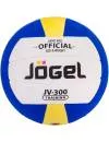 Мяч волейбольный Jogel JV-300 фото