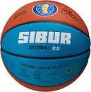 Баскетбольный мяч Jogel Pro Training Ecoball 2.0 Replica №6 icon 4