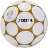 Футбольный мяч Joma Sala Game T62 400530.200 icon