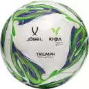Футбольный мяч Jogel Triumph Elite YFL №5 icon
