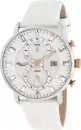Наручные часы Kenneth Cole KC2689 icon