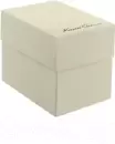 Наручные часы Kenneth Cole KC2704 icon 2
