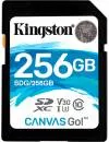 Карта памяти Kingston Canvas Go! SDXC 256Gb (SDG/256GB) icon