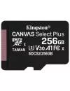 Карта памяти Kingston Canvas Select Plus microSDXC 256Gb (SDCS2/256GBSP) icon