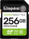 Карта памяти Kingston Canvas Select Plus SDXC 256GB SDS3/256GB icon
