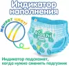 Подгузники-трусики детские KIOSHI Basic L 10-14 кг KB102 (38 шт) icon 4