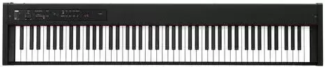 Цифровое пианино Korg D1 (черный) icon