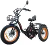 Электровелосипед Kugoo Trike 750W 48V 15.6 Ah icon