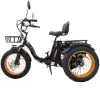Электровелосипед Kugoo Trike 750W 48V 15.6 Ah фото 2