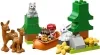 Конструктор LEGO Duplo 10907 Животные мира фото 3