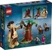 Конструктор Lego Harry Potter 75967 Запретный лес: Грохх и Долорес Амбридж icon