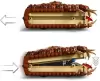 Конструктор Lego 76449 Книга монстров Жрущий монстр icon 5