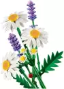 Конструктор Lego Botanicals 11508 Ромашки и лаванда icon 3