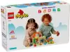 Конструктор Lego Duplo 10416 Уход за животными на ферме icon