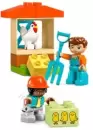 Конструктор Lego Duplo 10416 Уход за животными на ферме icon 3