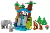 Конструктор Lego Duplo 10446 Семьи диких животных 3 в 1 icon 5