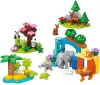 Конструктор Lego Duplo 10446 Семьи диких животных 3 в 1 icon 7