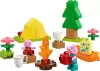 Конструктор Lego Duplo 10452 Поход Пеппы icon 4