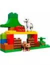 Конструктор Lego Duplo 10582 Лесные животные фото 2