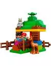 Конструктор Lego Duplo 10582 Лесные животные фото 3